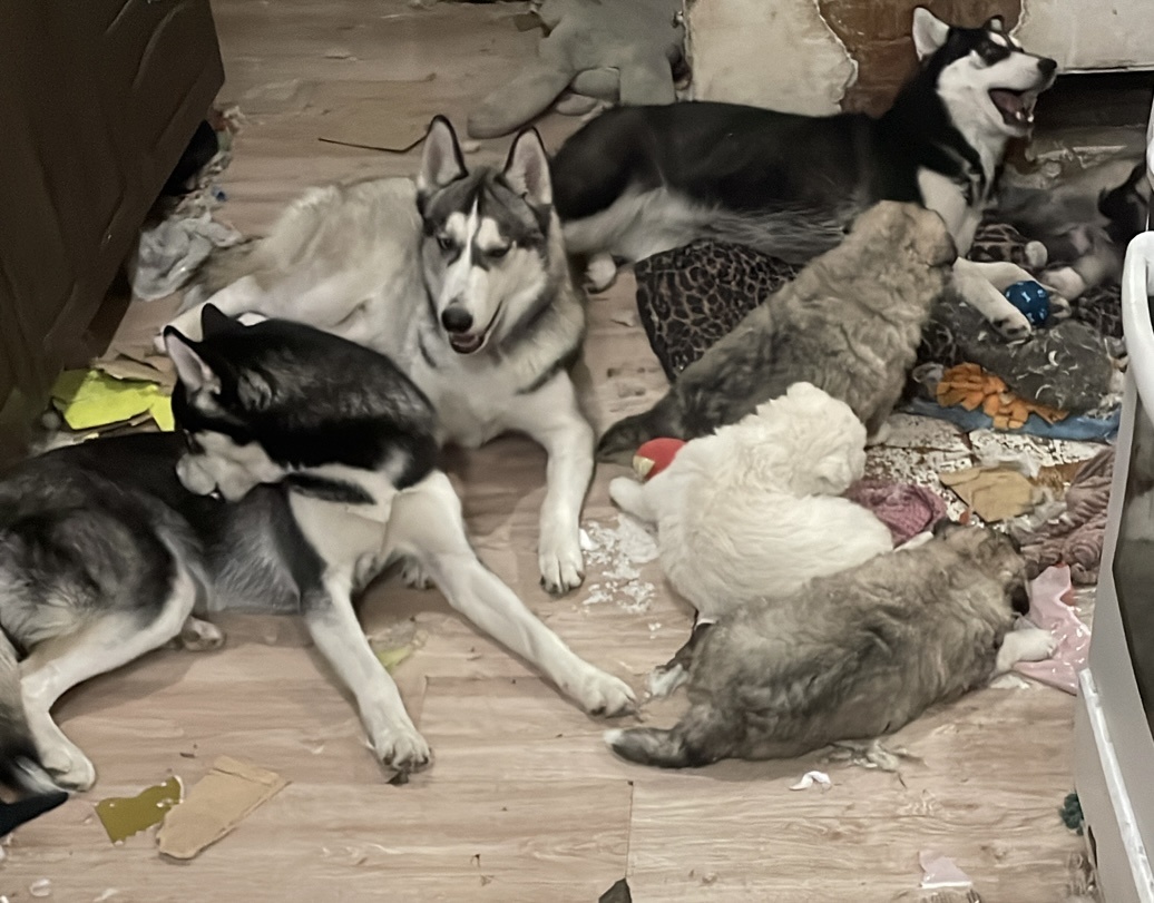 любимое комьюнити 🫀