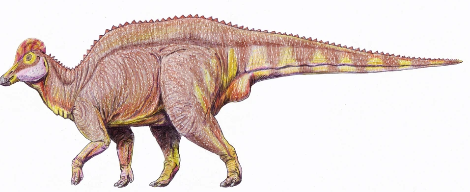 Барсболдия