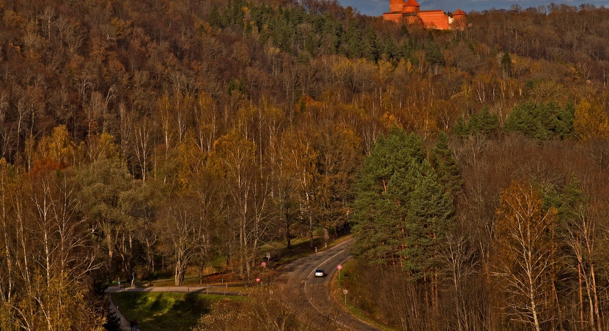 Лес в районе латвийской Сигулды © CC BY 2.0 / Chris