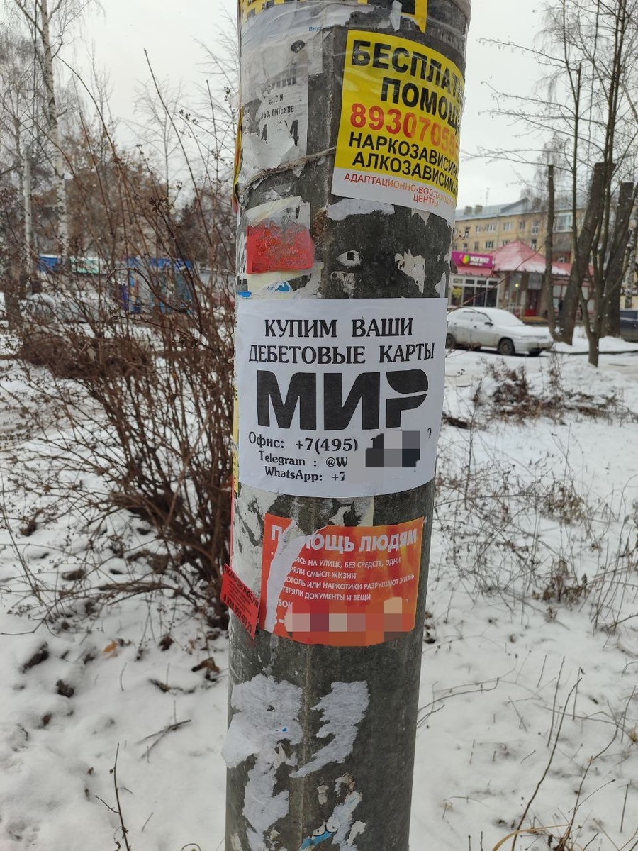 Фото Татьяны Кузнецовой.
