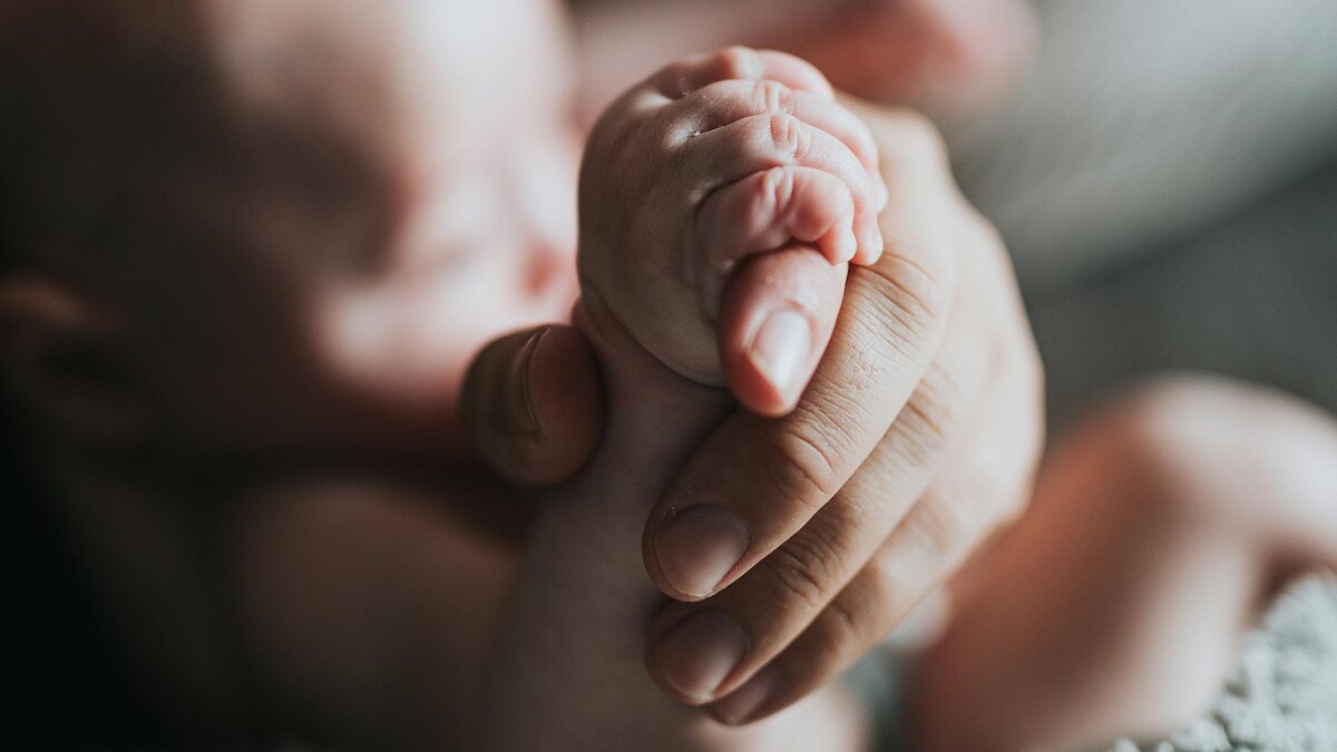    Фото: unsplash.com