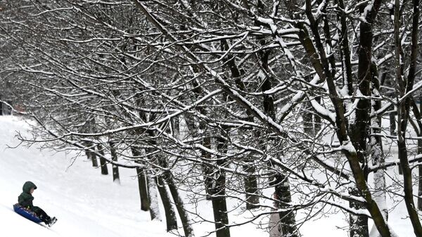    © Sputnik / Владимир Федоренко