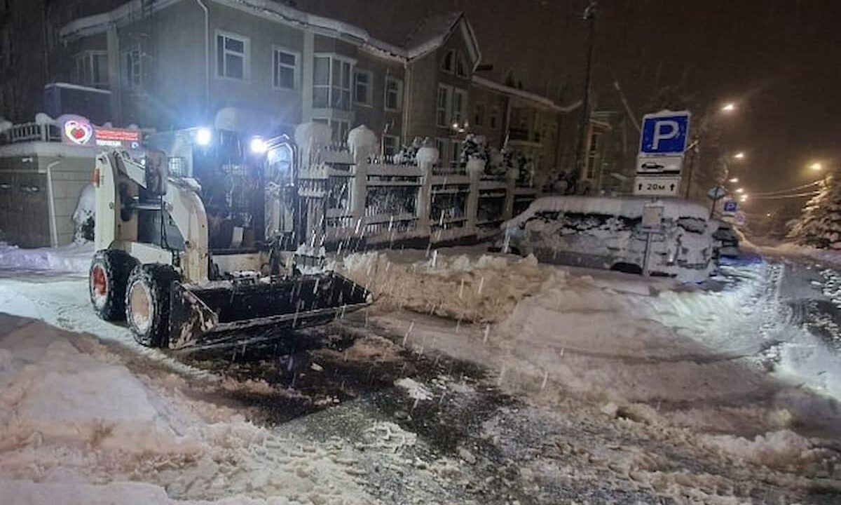    Фото t.me/officialsochi