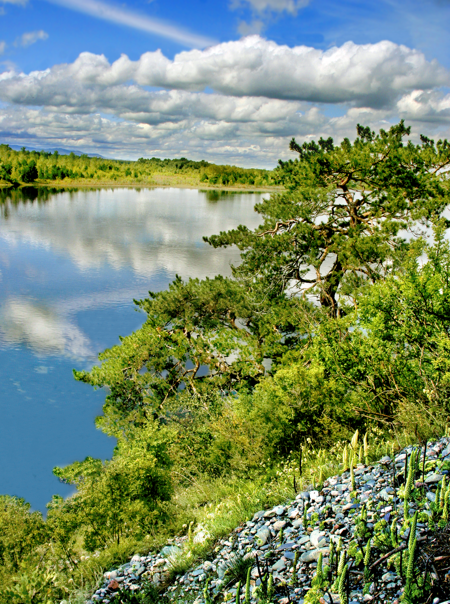 Фотография, стихотворение Василия Глуцкого
