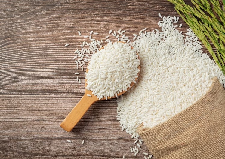    Фото: freepik.com Дарья Федотова