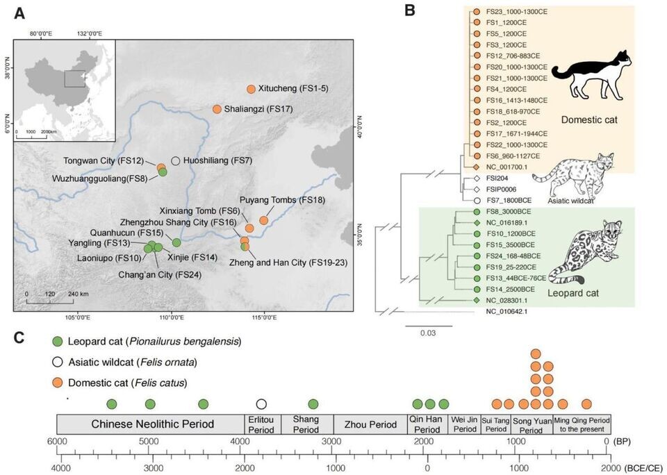   Yu Han et al. / bioRxiv, 2025
