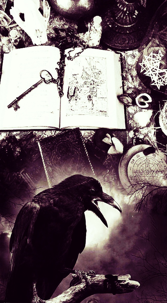 Фотоколлаж автора статьи 