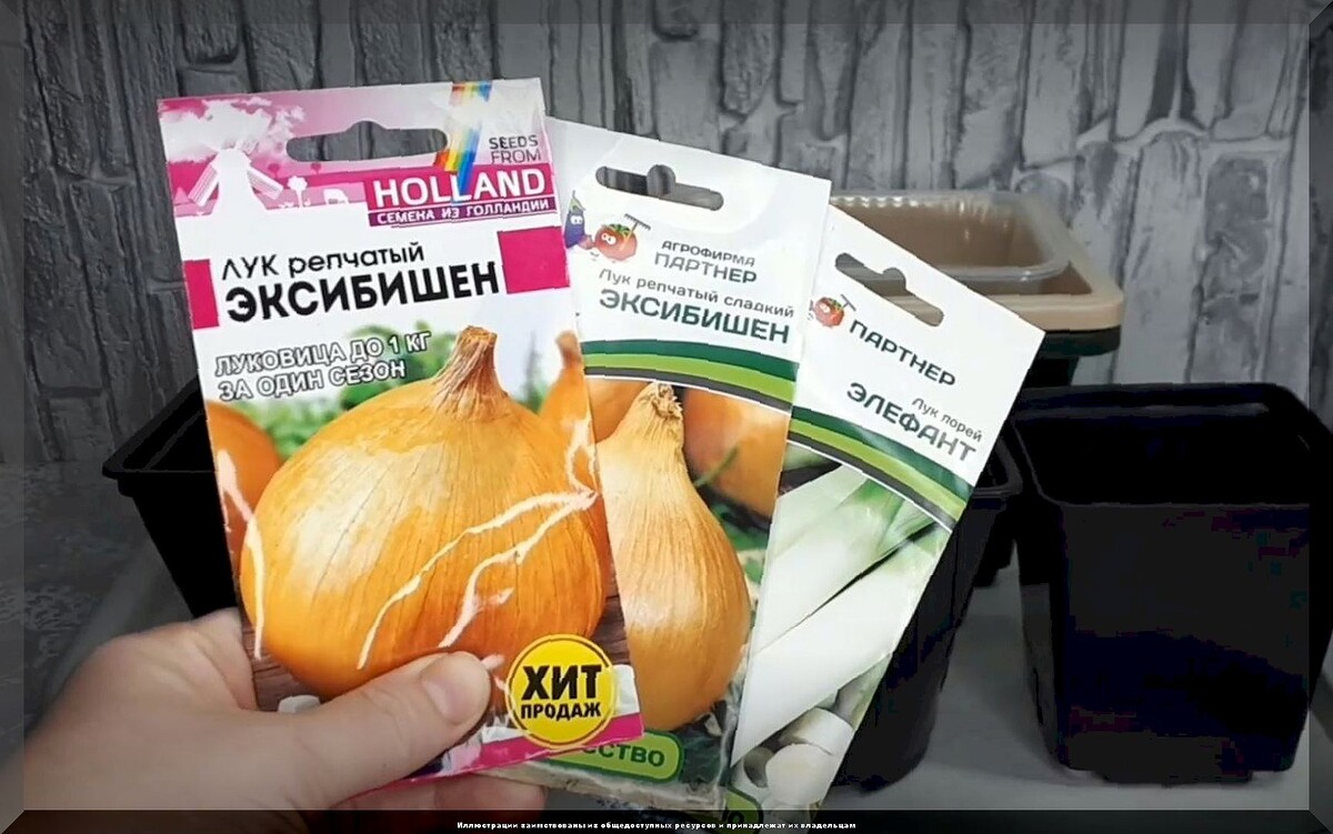 https://vk.com/photo-159774511_457269676