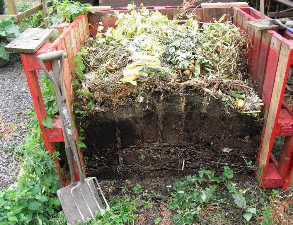 Заменим биогумус купленный в магазине на свой из компостой кучи.