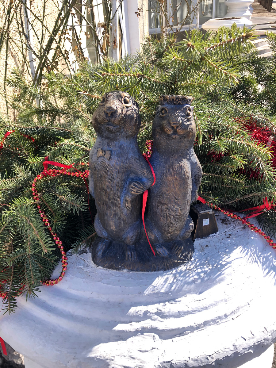  Эта счастливая парочка сидит у нас около Загса