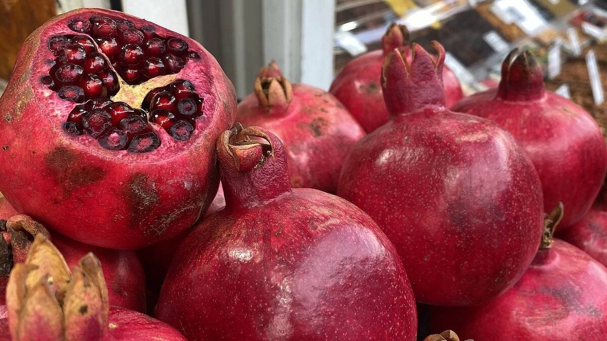    фото: телеканал «Краснодар»