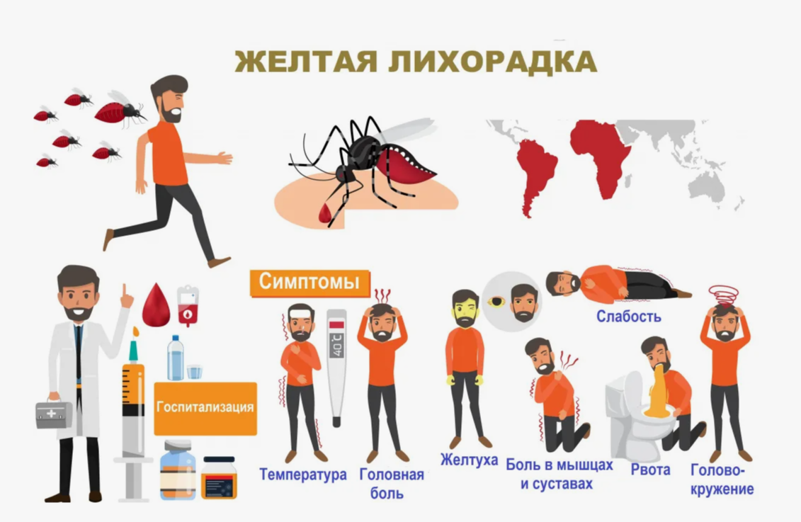 изображение с сайта invitro.ru