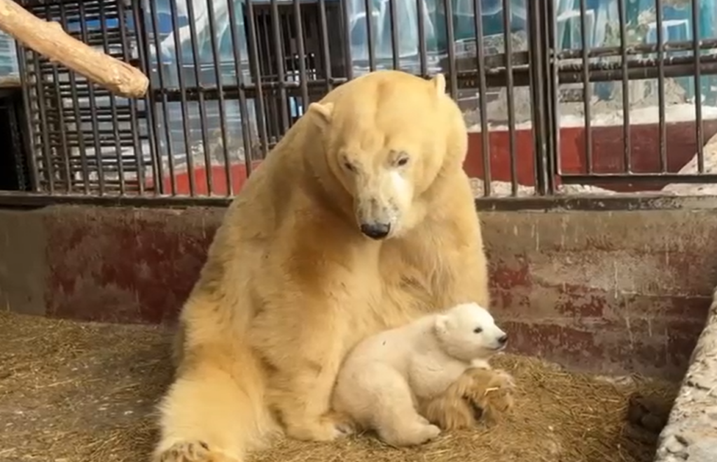    Фото: "В курсе.ру" Катерина Заякина