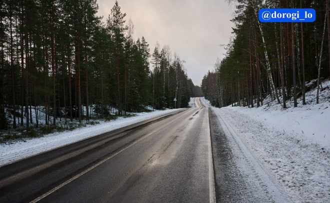   © Telegram-канал Dorogi_lo