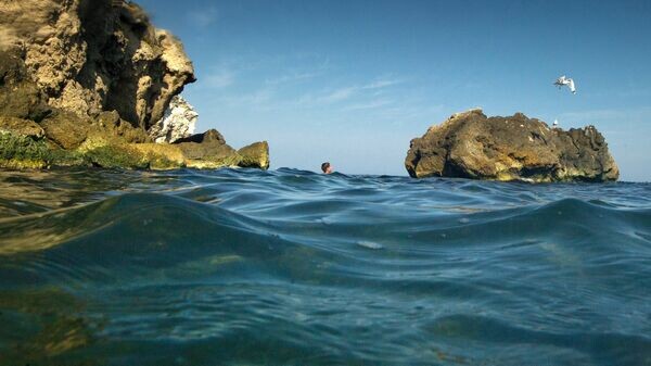    © Sputnik / Сергей Мальгавко