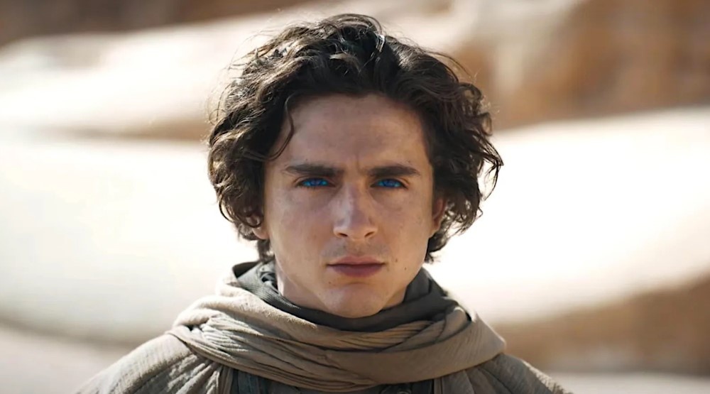     Кадр из фильма «Дюна 2» (2024)