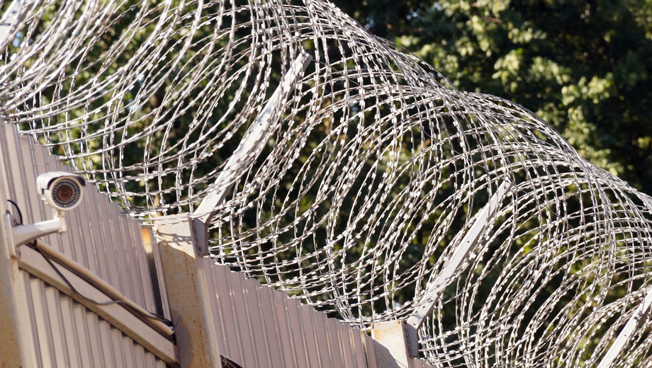    Фото: Сергей Егоров