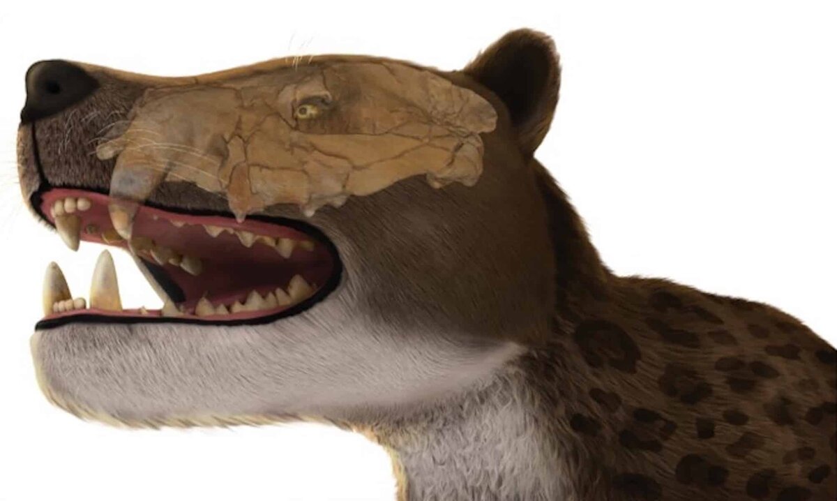    Фото: naked-science.ru Георгий