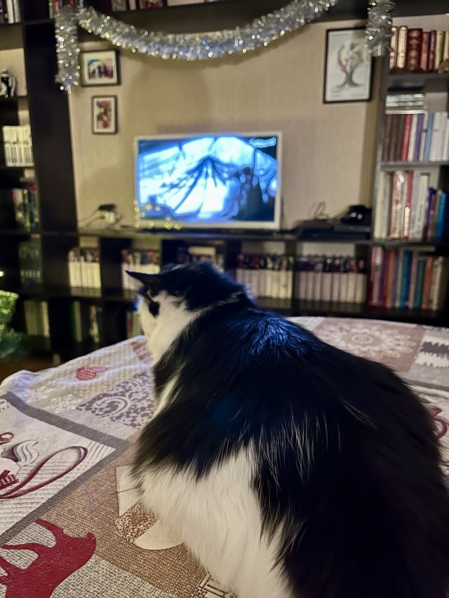 Это Лиза. Она не решает никакие рабочие задачи, а просто смотрит со мной сериал "Клон".