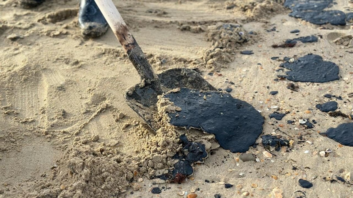    Волонтёры убирают мазут специальными лопатами. Фото: Движение «Экосистема»