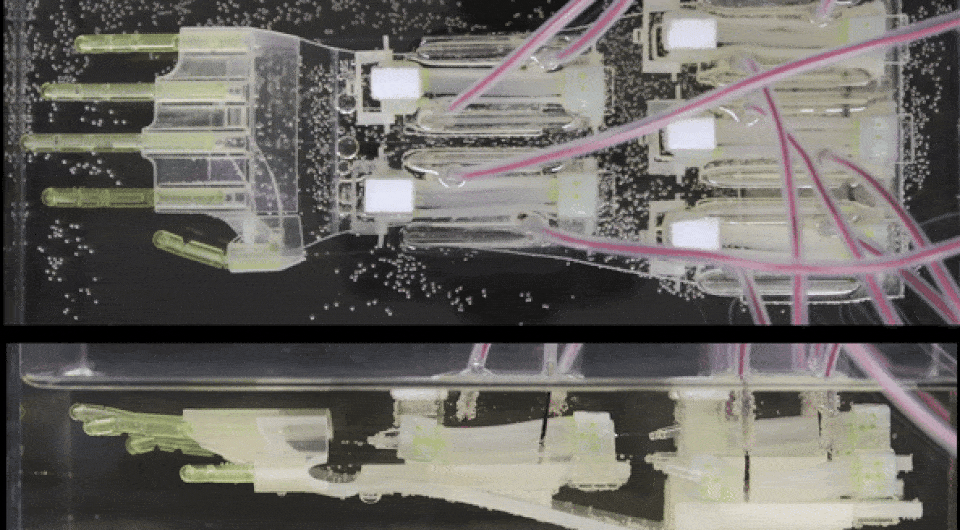   Xinzhu Ren et al. / Science Robotics, 2025