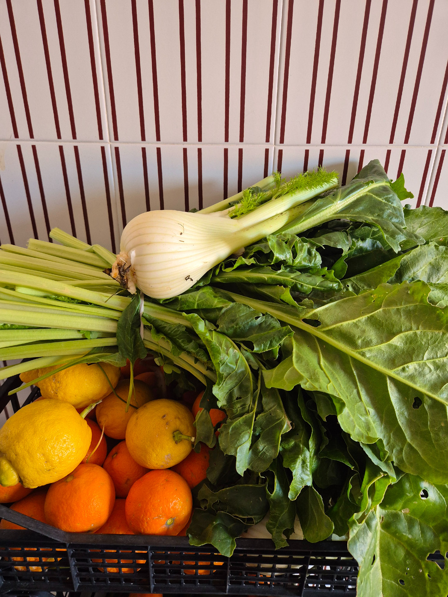 Подарки соседей