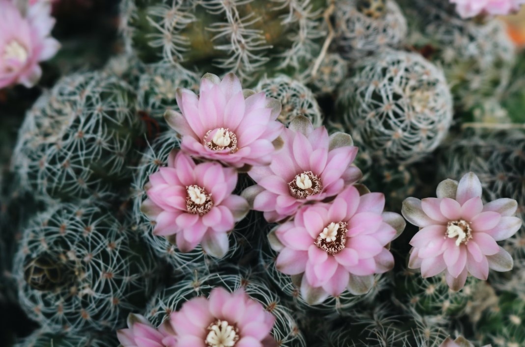    Фото: unsplash.com/@linrkv