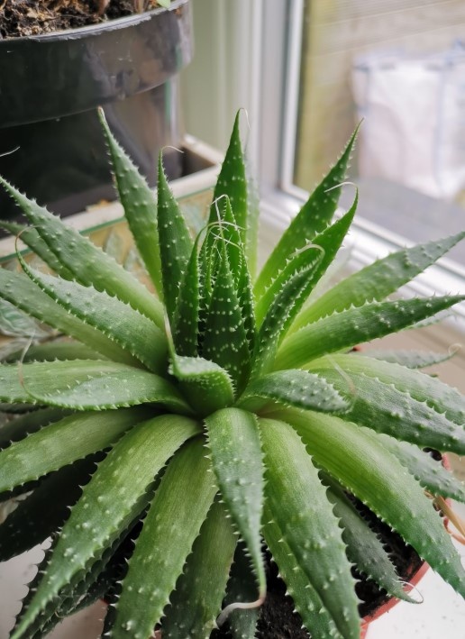    Фото: unsplash.com/@_judenorman