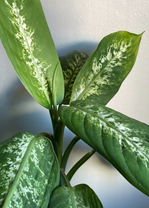    Фото: unsplash.com/@viniciusfeiten