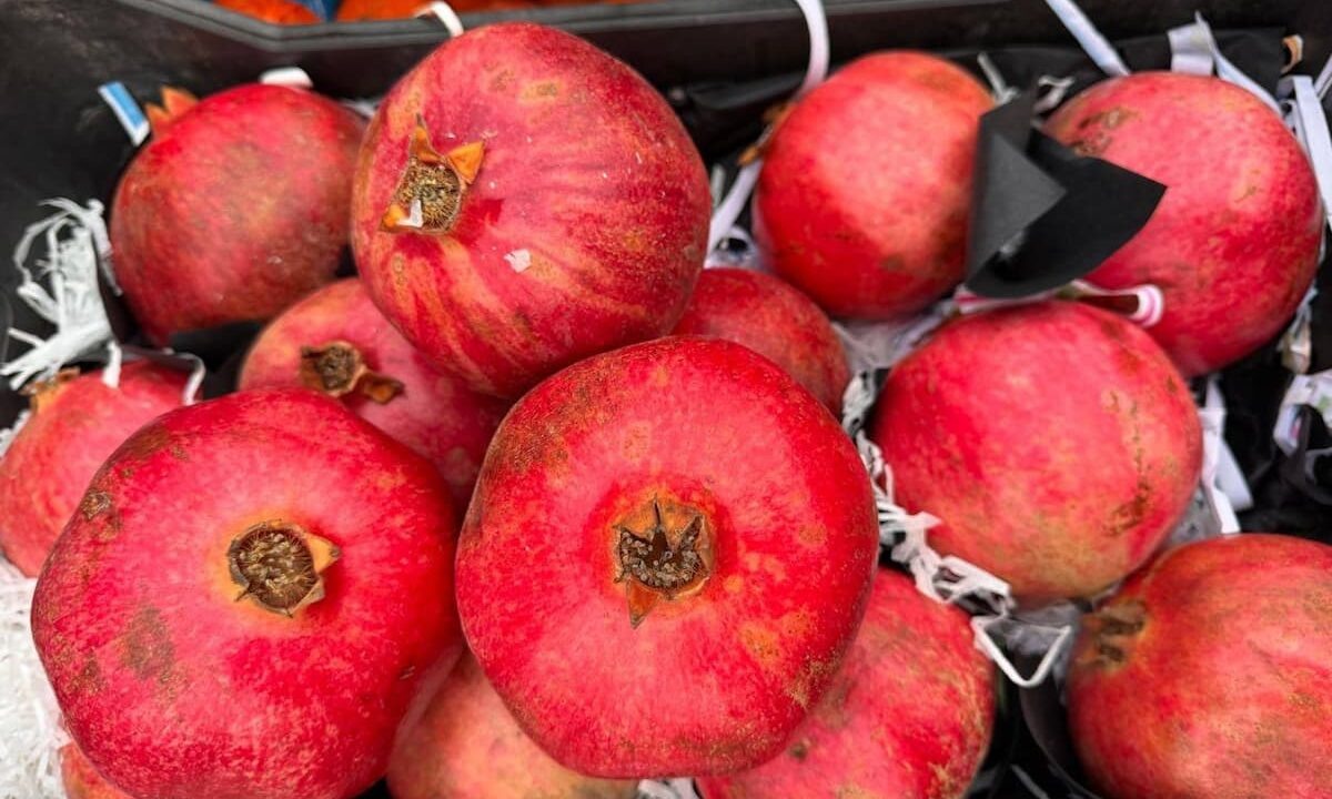    Фото t.me/rsn_yug