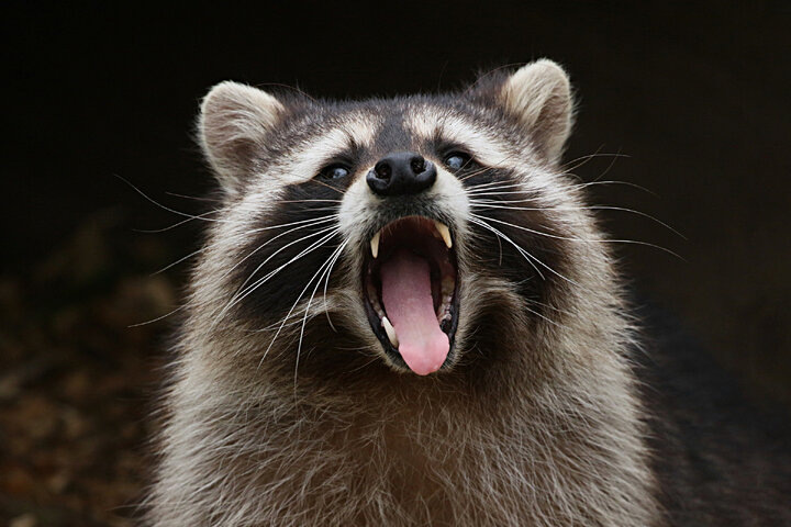 Картинка с сети интернет 