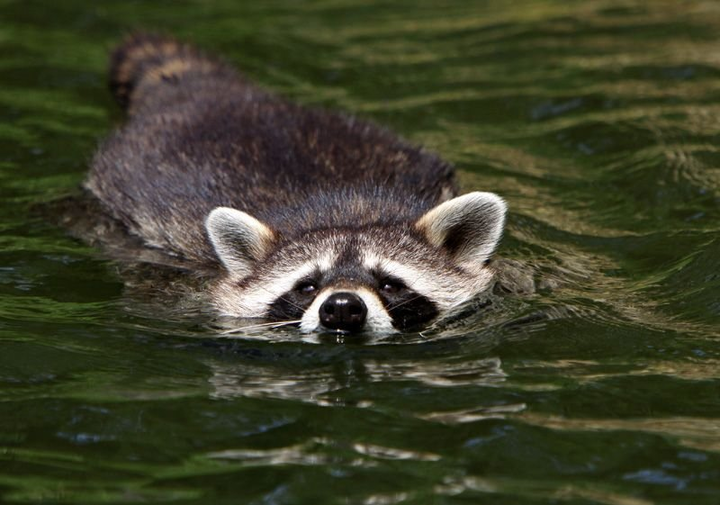 Картинка с сети интернет 