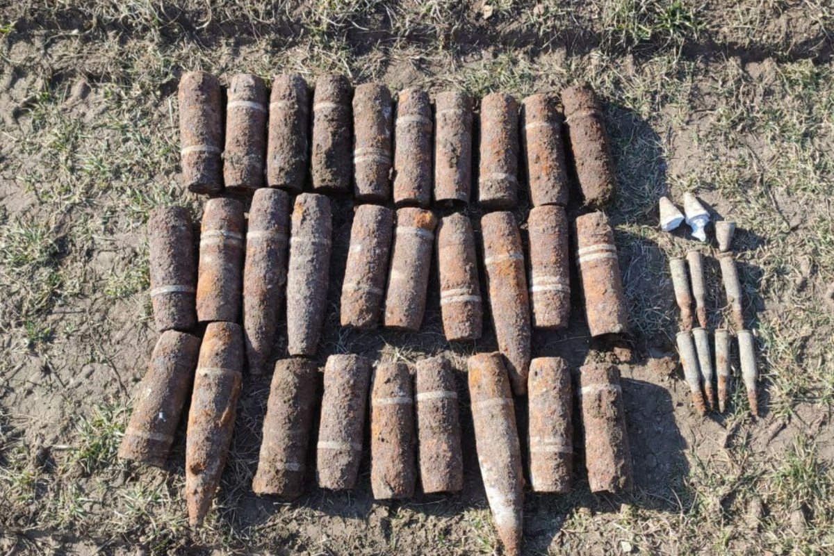    Фото: пресс-служба ГУ Росгвардии по Краснодарскому краю