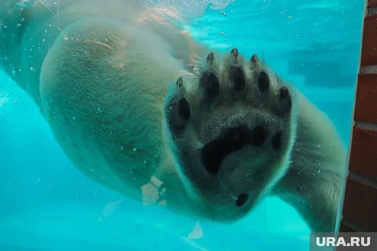 Родители довольны малышом (архивное фото). Фото: Размик Закарян © URA.RU