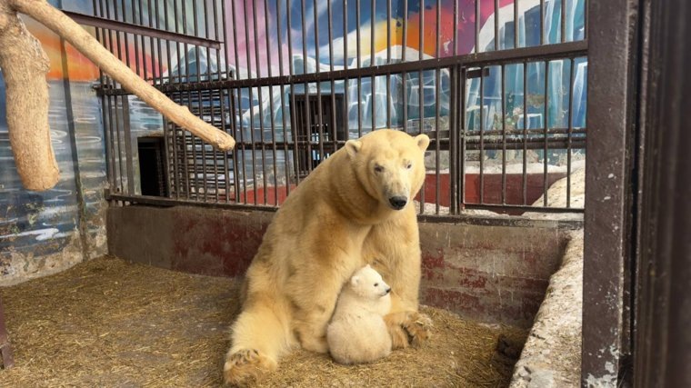 Имя малышу еще не придумали. Фото: Алла Платонова