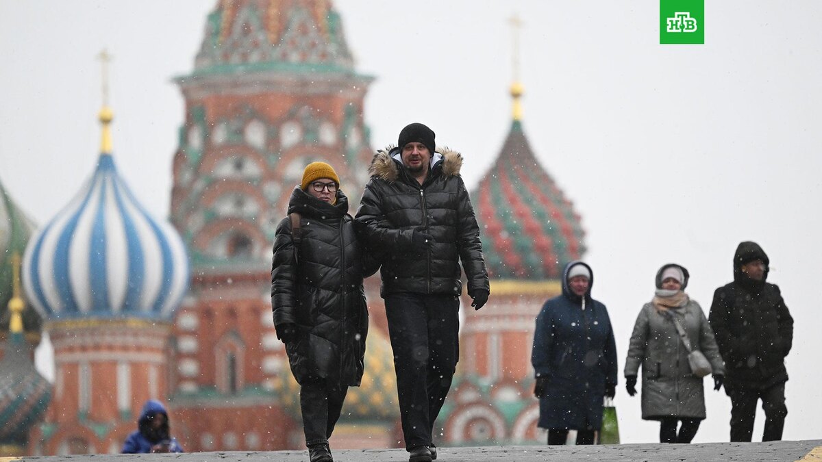    Фото: РИА Новости © 2025, Кирилл Каллиников