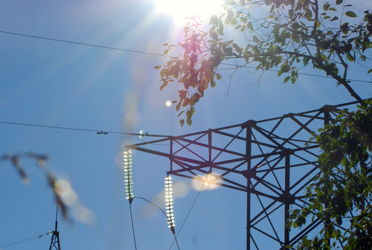    Фото: gov.karelia.ru