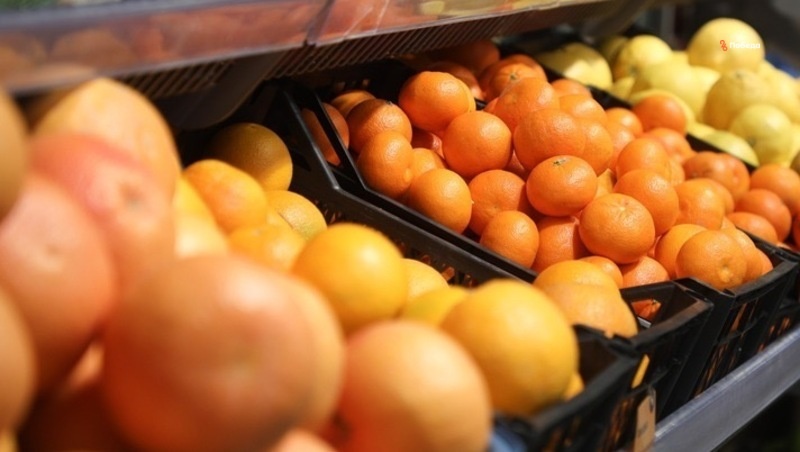      Фото: ИА «Победа26»