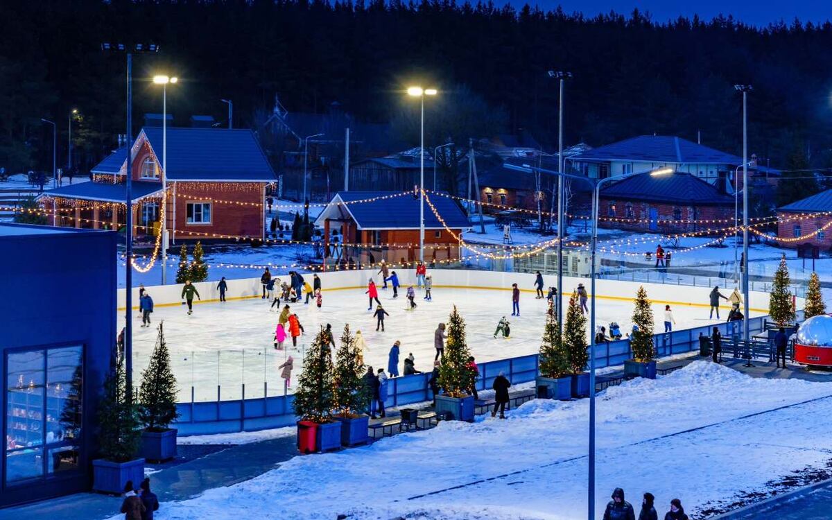    Forbes написал про семью воронежского бизнесмена Манькова – основателей парка «Нелжа.ру» Фото из социальных сетей парка «Нелжа.Ру»