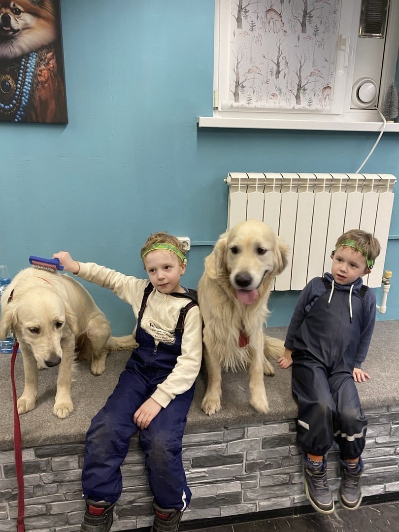 Листайте вправо, чтобы увидеть больше изображений