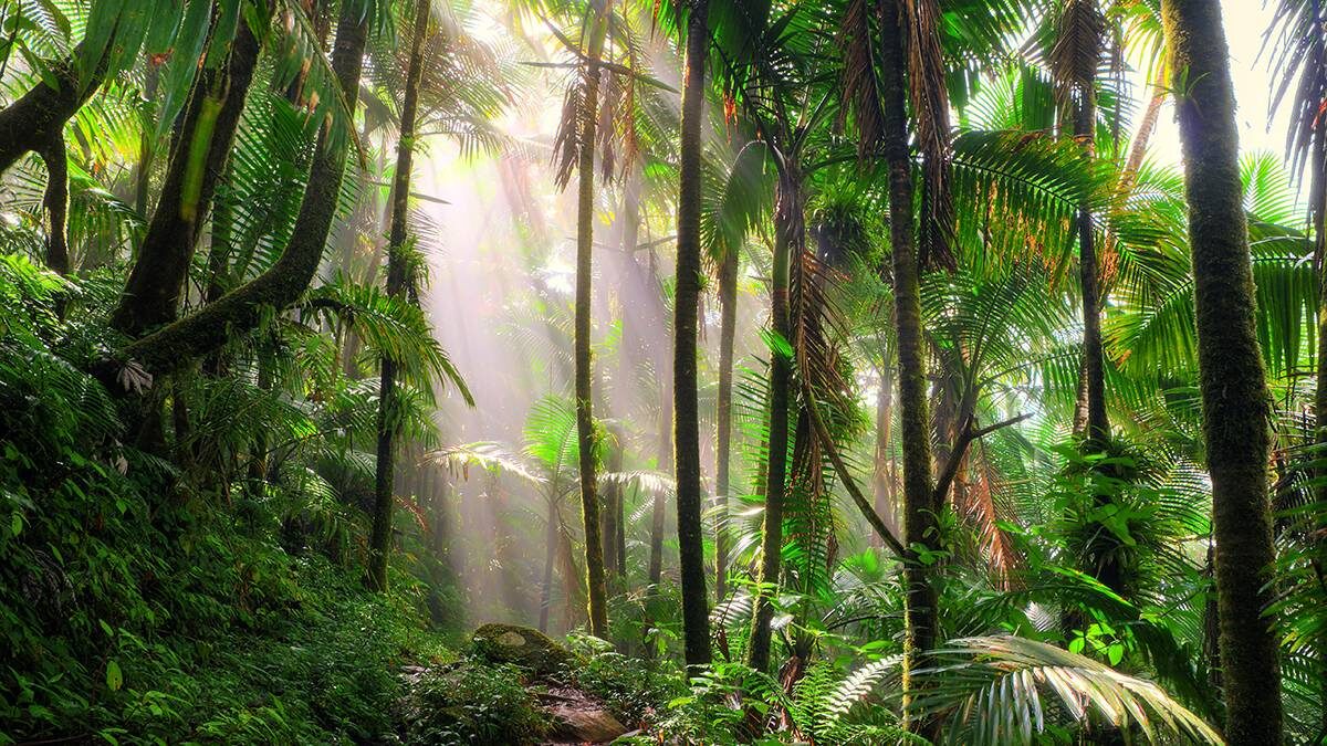    Фото: Shutterstock