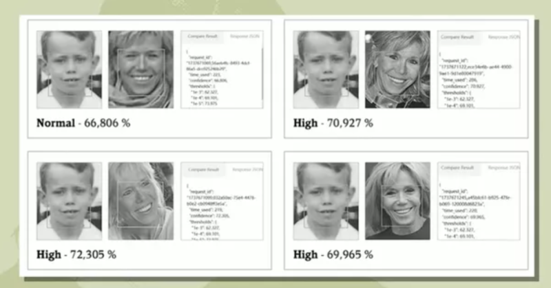    Сравнение лиц Жан-Мишеля Троньё и Брижит Макрон. Скриншот: inosmi.ru