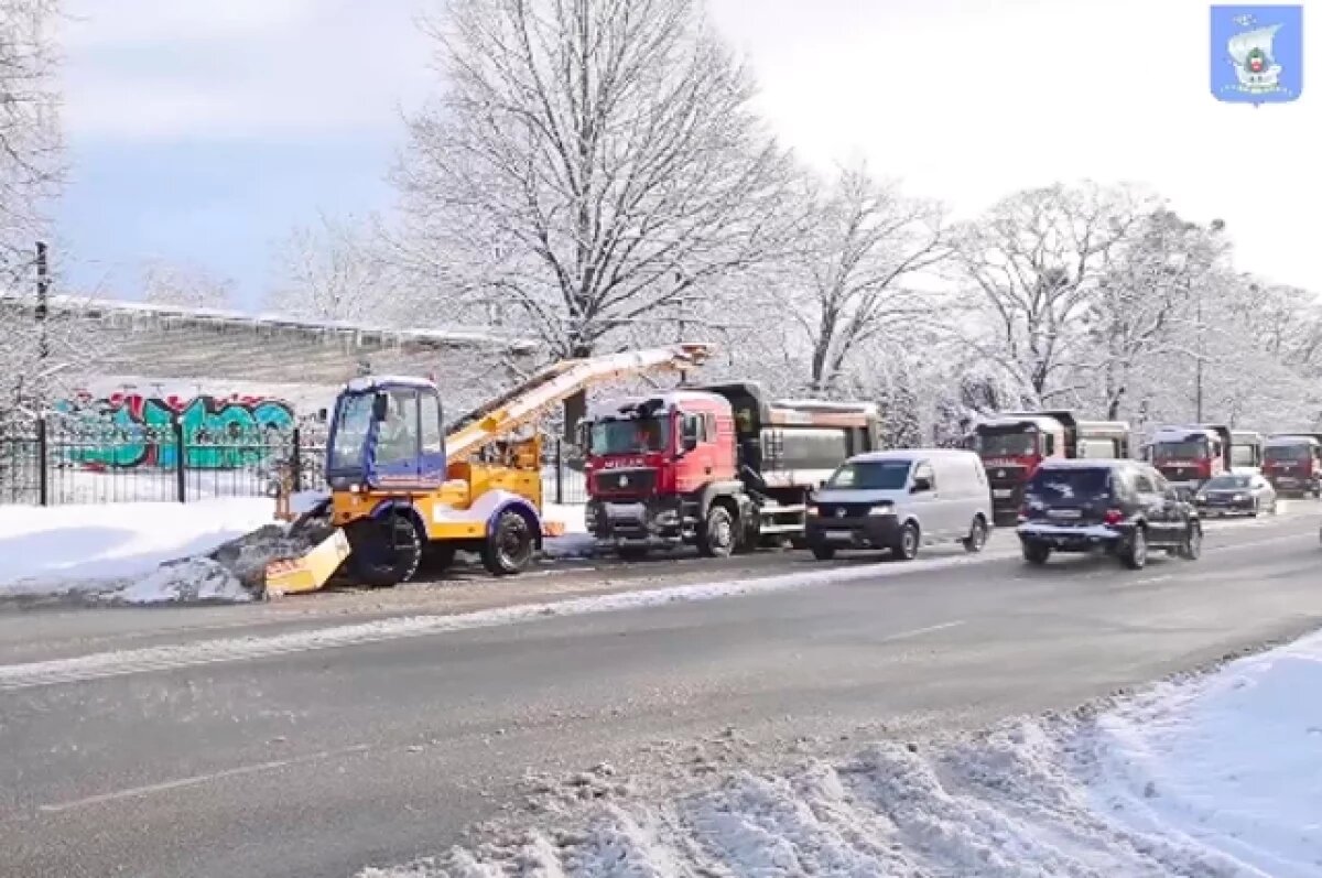    В Калининграде рассказали, как борются с обильными снегопадами