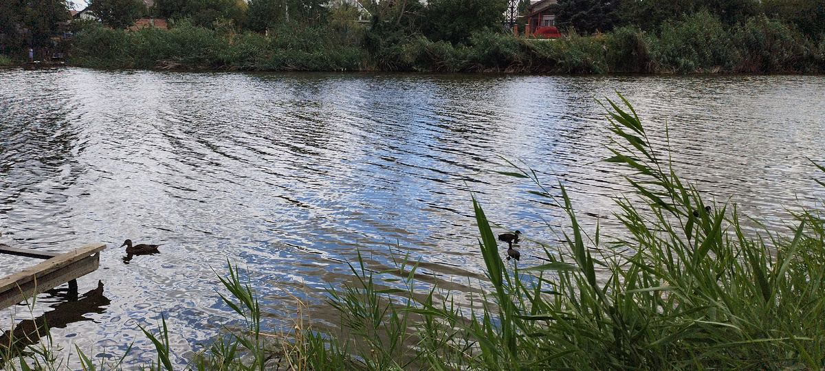 Цените жизнь.