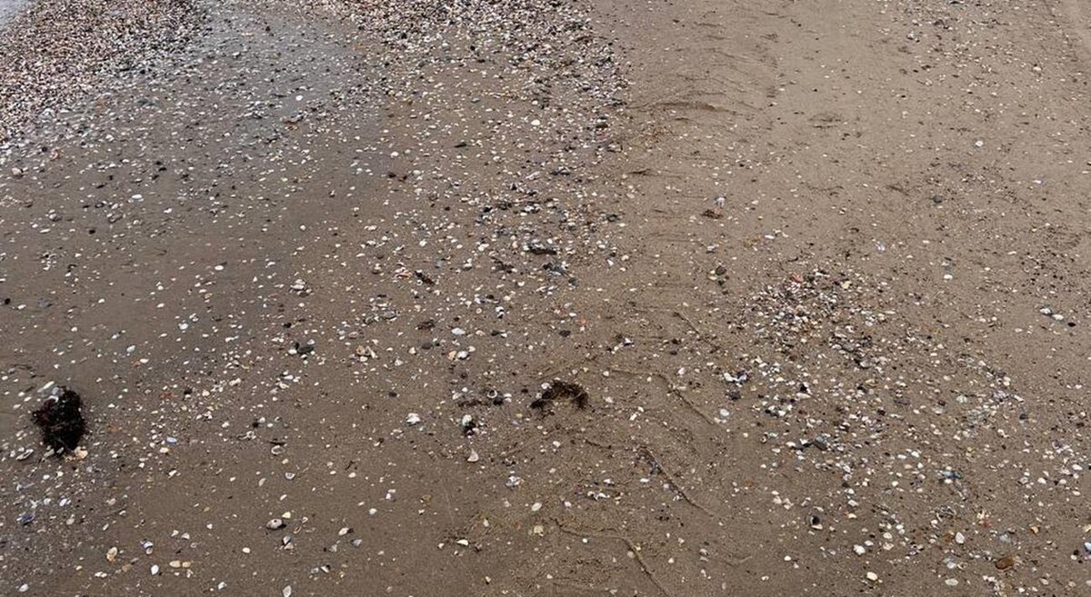 Фото: Оперштаб Кубани