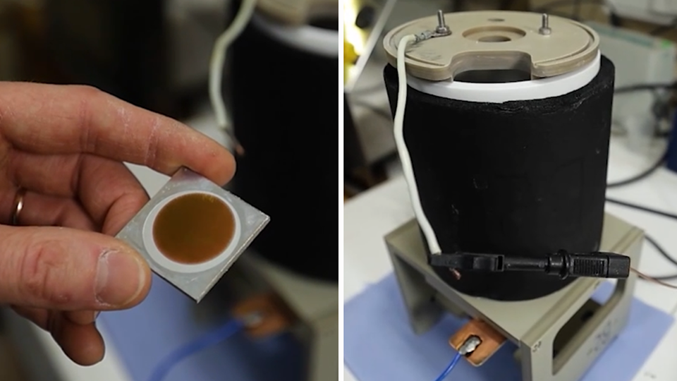 Фото: © Кадр из программы «Наука и техника», РЕН ТВ