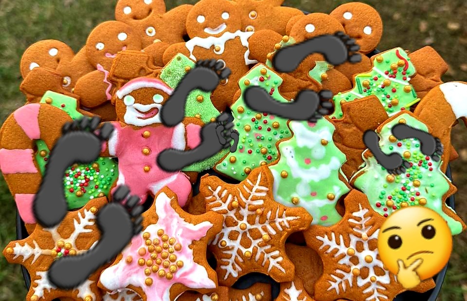 Маленькие шаги