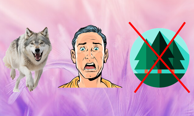 ГДЕ ЛОГИКА? Угадайте пословицу