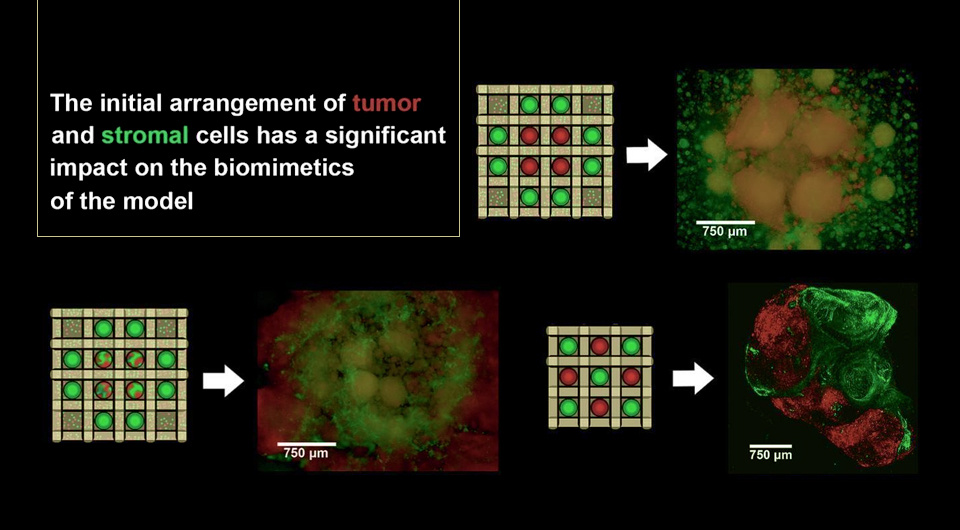   Lugovoi et. al / Biomaterials Advances, 2025