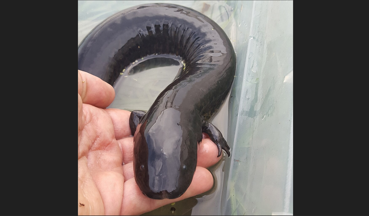 Смотрит в будущее с оптимизмом. 